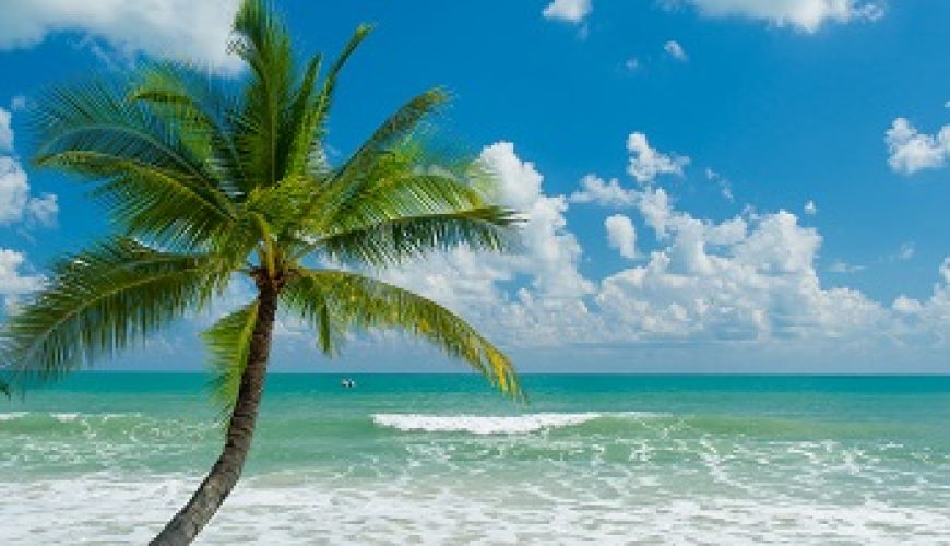 Exploring the Beauty of Koh Samui: A Guide to Traveling to Thailand’s Stunning Island